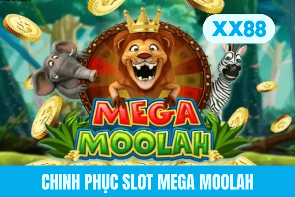 Chinh phục slot Mega Moolah Chinh phục slot Mega Moolah