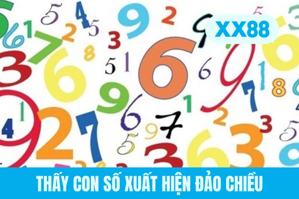 Thấy con số xuất hiện đảo chiều